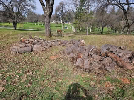 Photo of free firewood (Auburn, near Lake of the Pines) #1