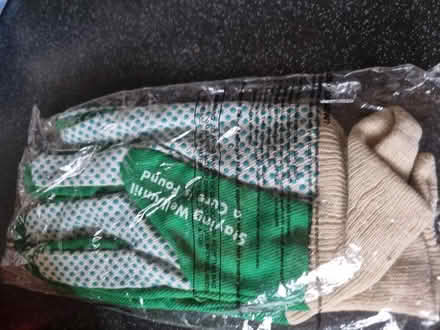 Photo of free Gloves (SE20) #1