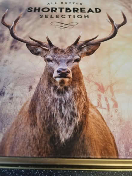 Photo of free Biscuit tray (SE20) #1