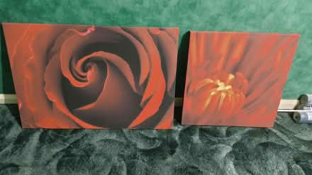 Photo of free Canvas Wall prints (Rose Hill OX4) #1