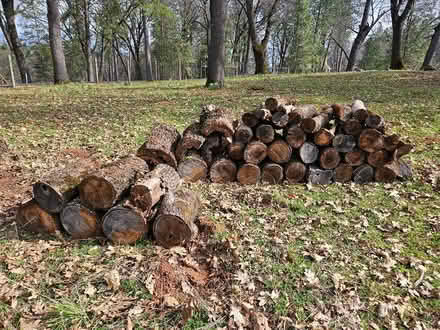 Photo of free firewood (Auburn, near Lake of the Pines) #3