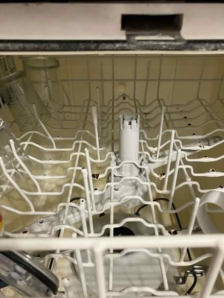 Photo of Dishwasher racks for Kenmore unit (Toronto) #3