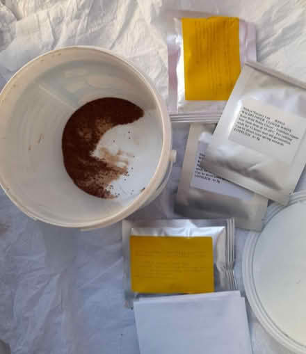 Photo of free White and Red Clover seeds (Kingsway) #1