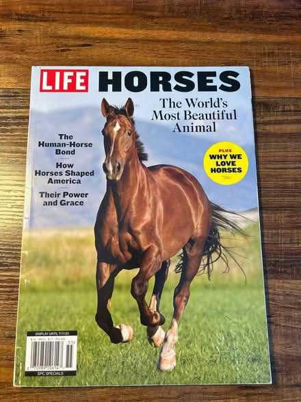 Photo of free Life Horses Magazine (Owings Mills,MD) #1