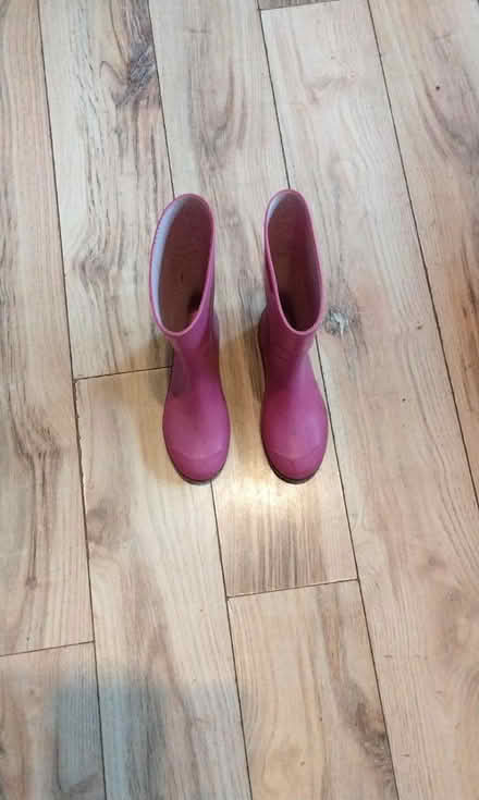 Photo of free Ladies wellington boots (HP2 heme Hempstead) #1