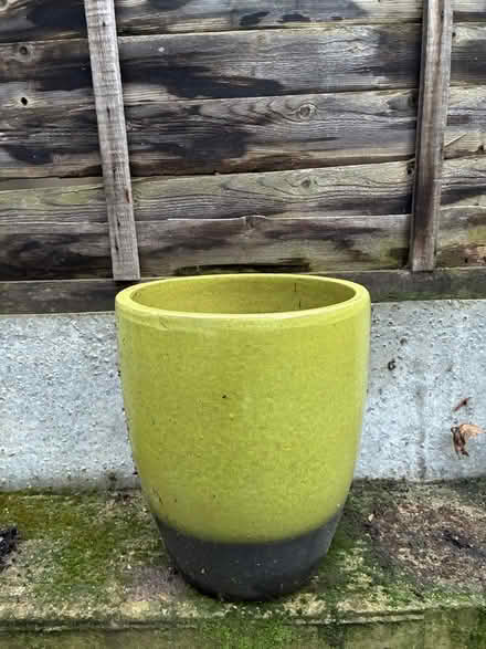 Photo of free Garden pots and trays (Homerton E5) #1