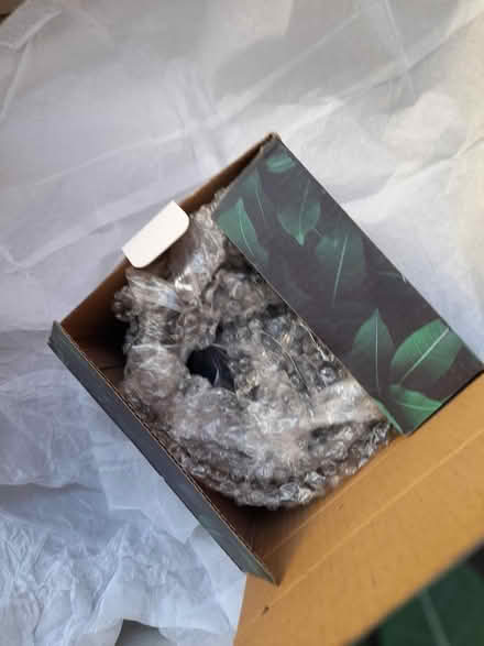 Photo of free Plant pot (Kingsway) #2