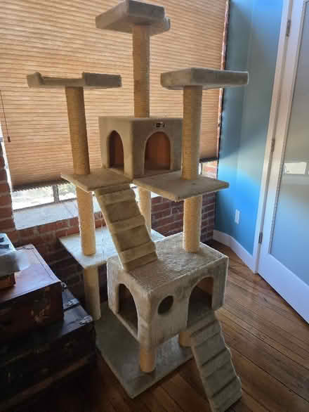 Photo of free Cat pole (Downtown) #1