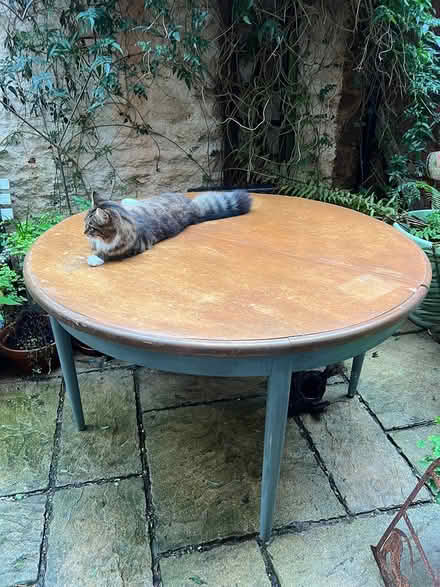 Photo of free G Plan extending table (Torquay TQ2) #1