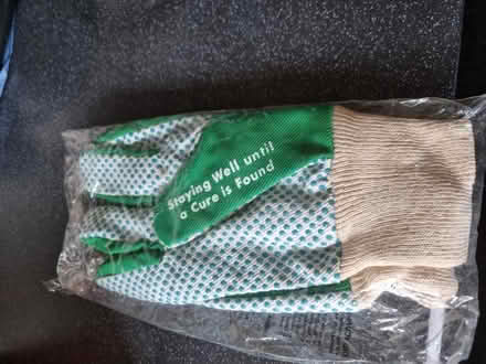 Photo of free Gloves (SE20) #2