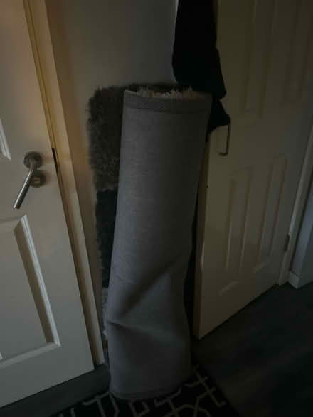 Photo of free Large rug (BR5) #1