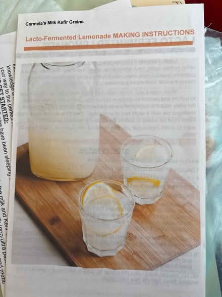 Photo of free Kefir-making instructions (Ossining) #2