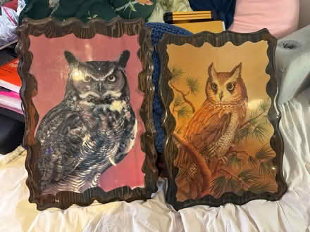Photo of free Owl wall plaques (Rego Park Queens) #1