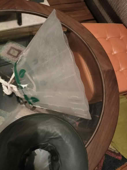 Photo of free Dog cone collar and alternative one (Catton NR6) #1