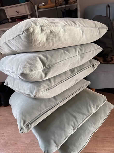 Photo of free Large green cushions (CB21) #3