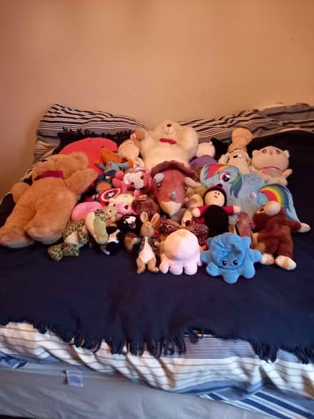 Photo of free soft toys (Southwick BN42) #1