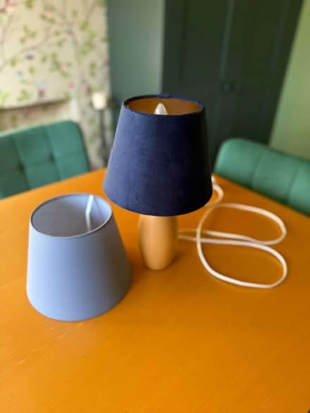 Photo of free Table lamp (Elmers End BR3) #1