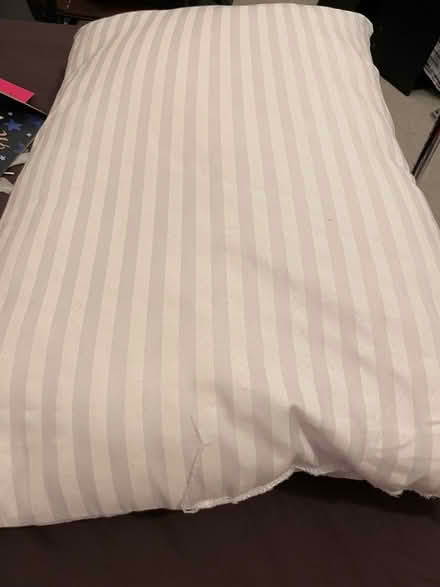 Photo of free Pillow (Wandsworth SW18) #1