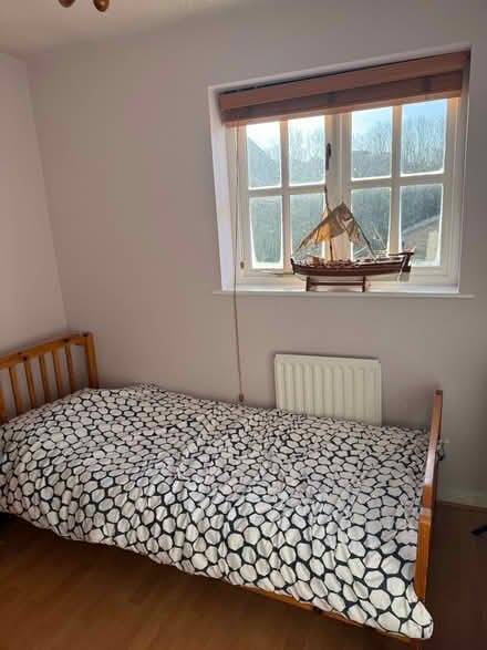 Photo of free Single bed and mattress (Foxholes SG13) #1
