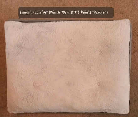 Photo of free Dog bed (Twyford RG10) #1
