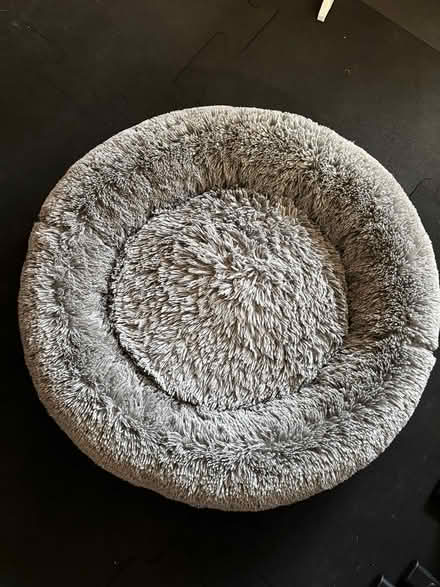 Photo of free Dog Bed (Mission Viejo) #1