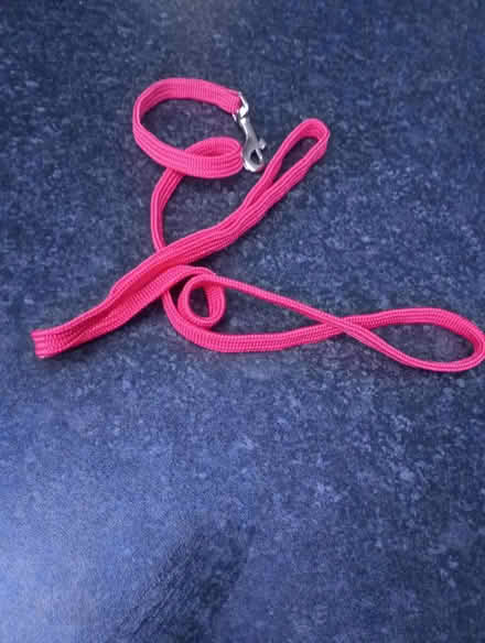 Photo of free Dog lead (Maidstone ME15) #1