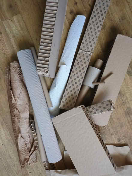 Photo of free Lots of cardboard shapes for modelling (Rowde SN10) #1