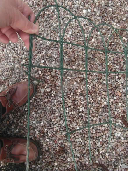 Photo of free 3 rolls of 16” high plastic coated WIRE NET EDGING (Waverton CH3) #3