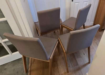 Photo of free Dining Chairs (Oxgangs EH13) #1