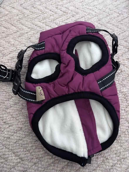Photo of free Dog coat - XS - new (Chiswick, W4) #2
