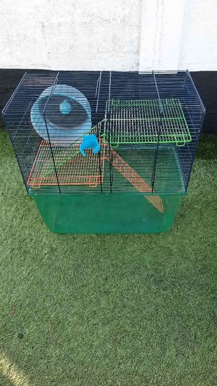 Photo of free Gerbil cage and accessories (Ashford TW15) #1