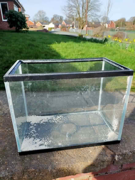 Photo of free Fish tank (Gobowen SY11) #1