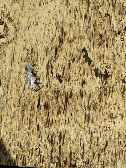 Photo of free Tea trolley for refurbishment? (Gobowen SY11) #2