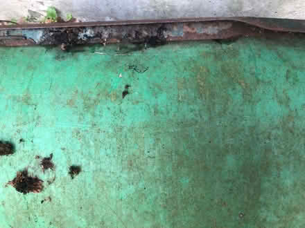 Photo of free Lawn roller (Latchford WA4) #2