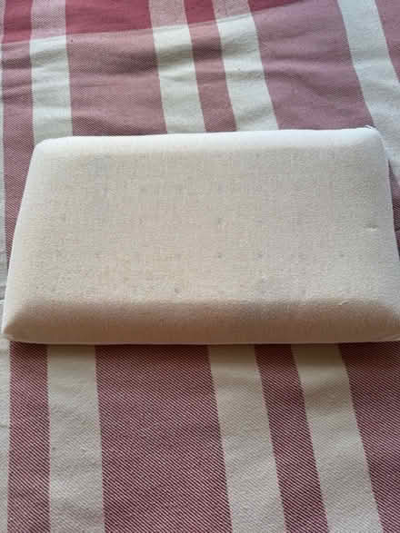 Photo of free Children Pillows with pillow cases (Elm Park RM12) #1