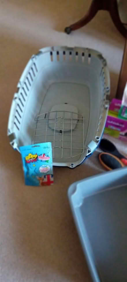 Photo of free Various cat/kitten items (Bognor Regis PO21) #2