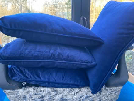 Photo of free 4x cushions (Oxford OX1) #1