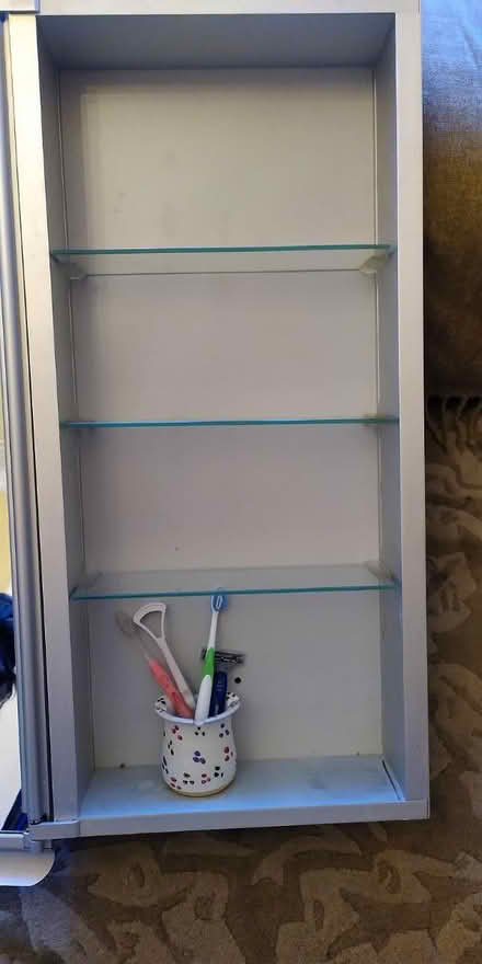 Photo of free Bathroom Wall Cabinet (Shandon EH11) #1