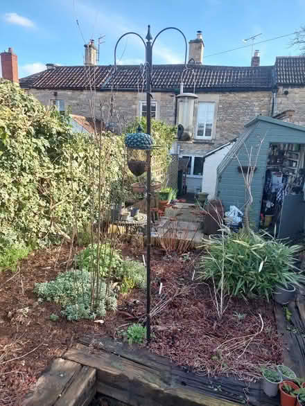 Photo of free Bird feeders (Holt BA14 6) #1