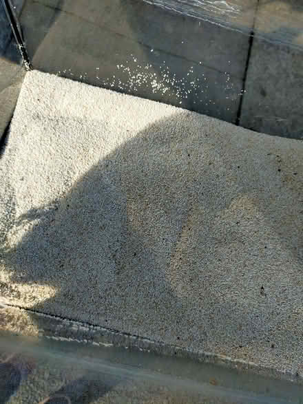 Photo of free Fish tank (Gobowen SY11) #4