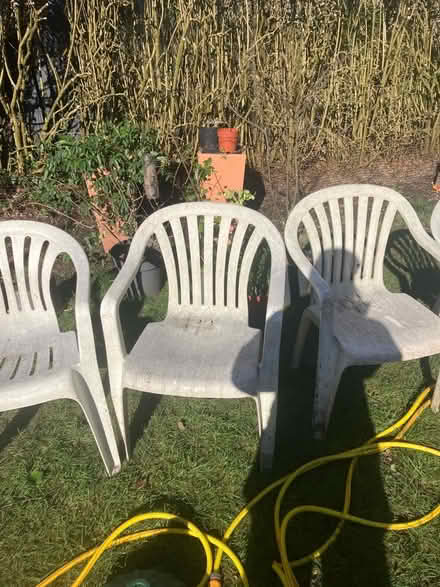 Photo of free Garden setting (SE24) #2