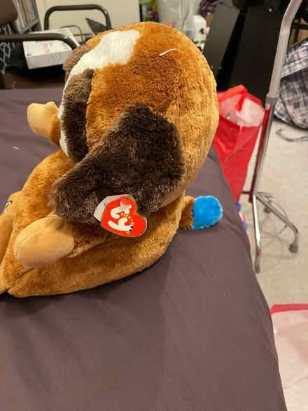 Photo of free Bed teddy’s (Wandsworth SW18) #1