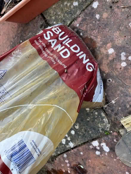 Photo of free Building sand (Ladywell SE13) #2