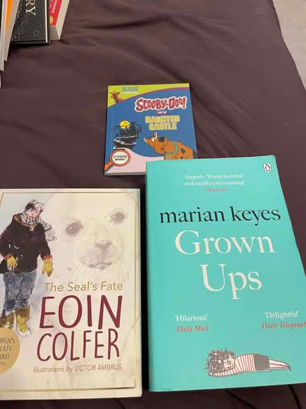 Photo of free Books (Wandsworth SW18) #4