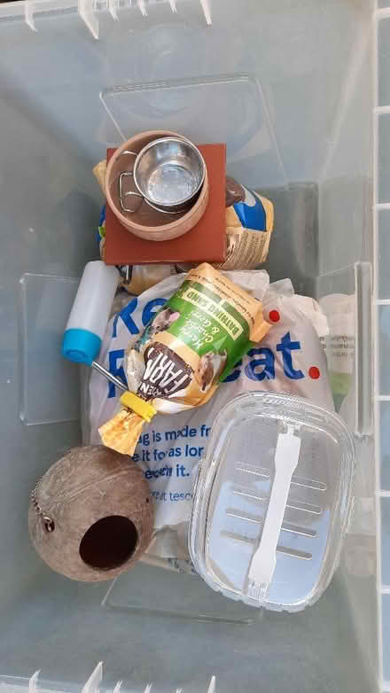 Photo of free Gerbil cage and accessories (Ashford TW15) #2