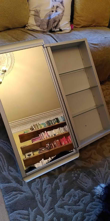 Photo of free Bathroom Wall Cabinet (Shandon EH11) #3