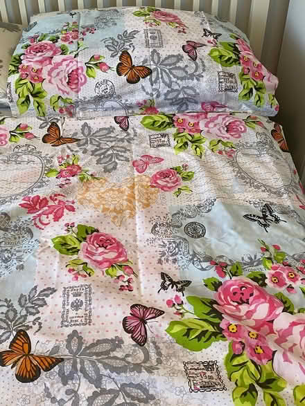 Photo of free Single bed bundle (Mytchett. GU16) #2