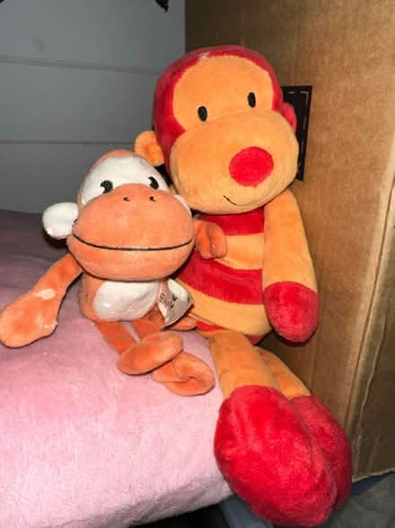 Photo of free Soft stuffed monkeys (Croydon CR0) #1