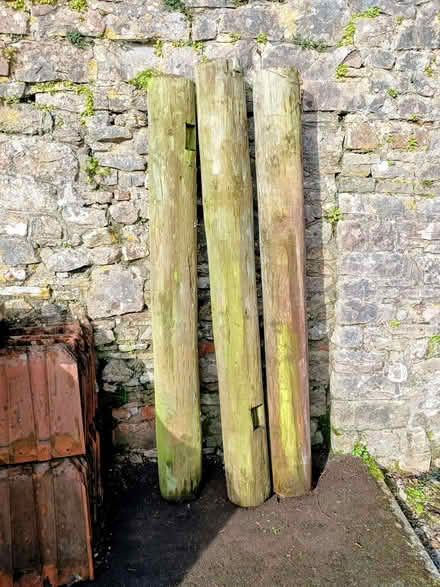 Photo of free preservative-treated timber posts (Nailsea BS21) #1