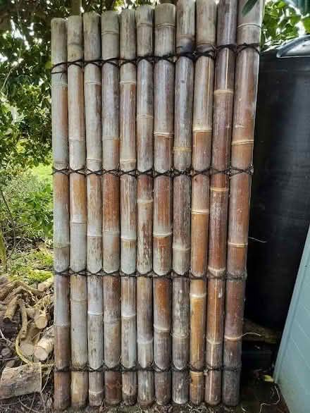 Photo of free Bamboo panels (Eaton NR4) #2
